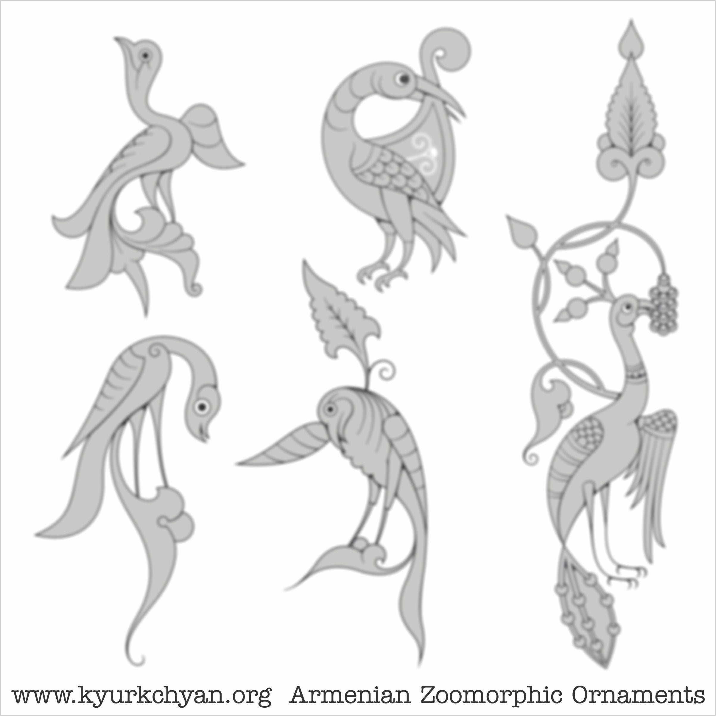 Birds #29