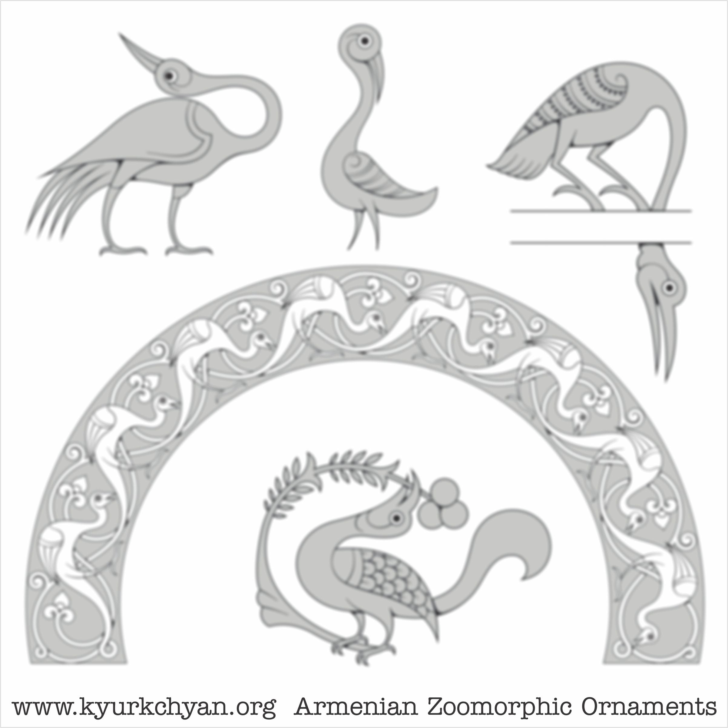 Birds #30