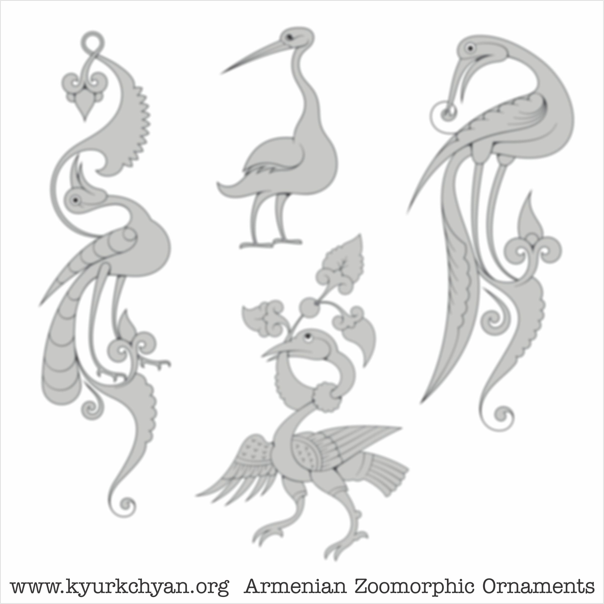 Birds #31