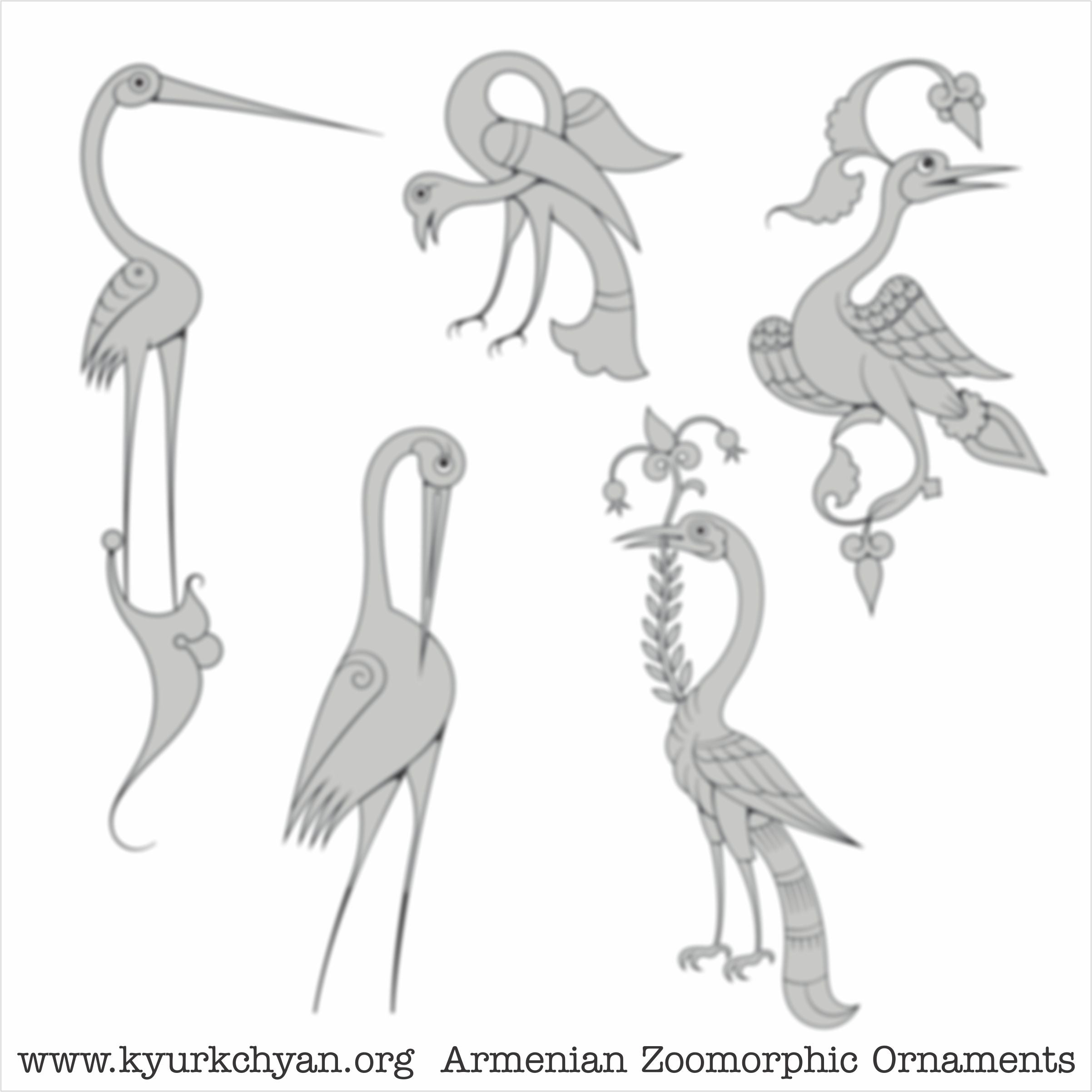 Birds #33