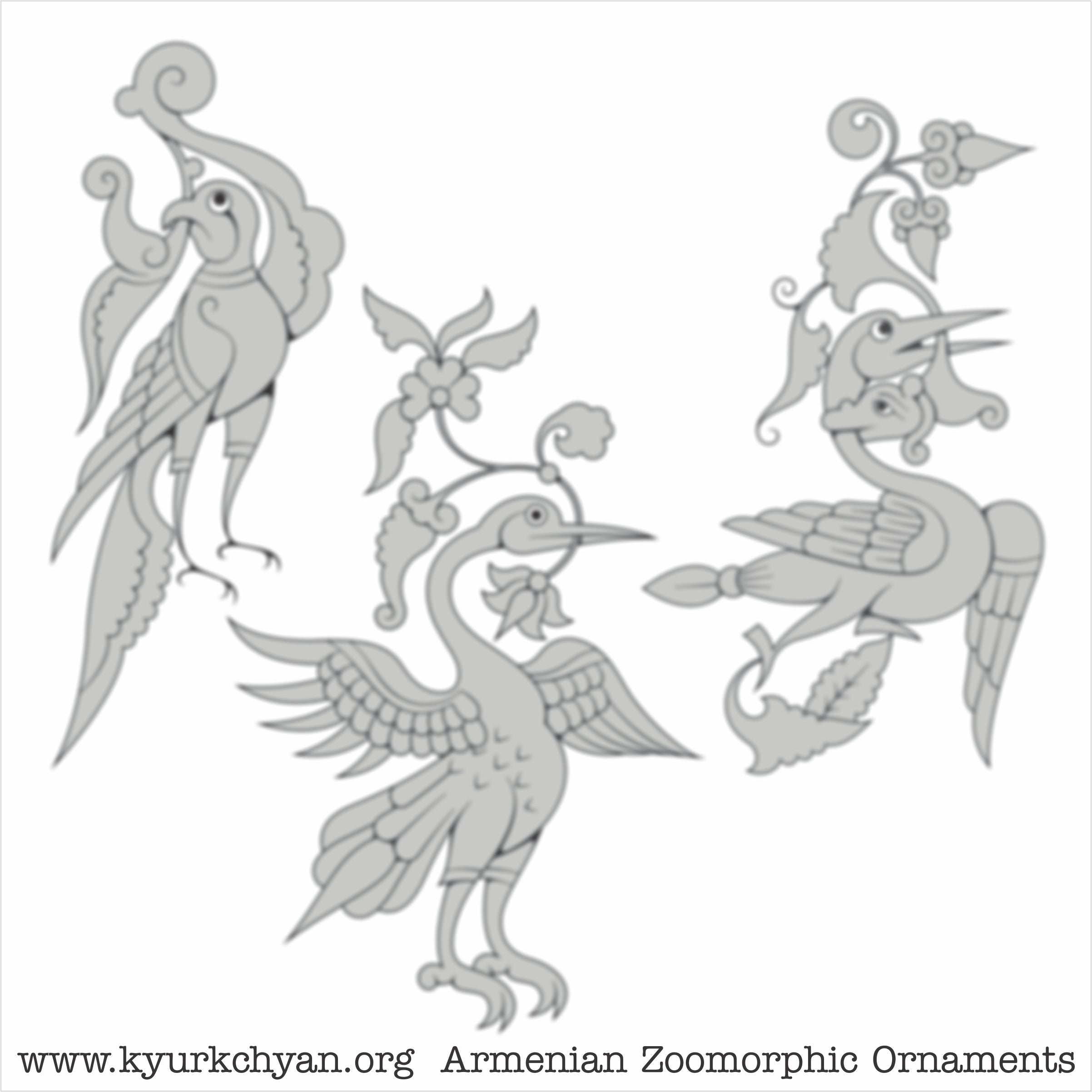 Birds #34