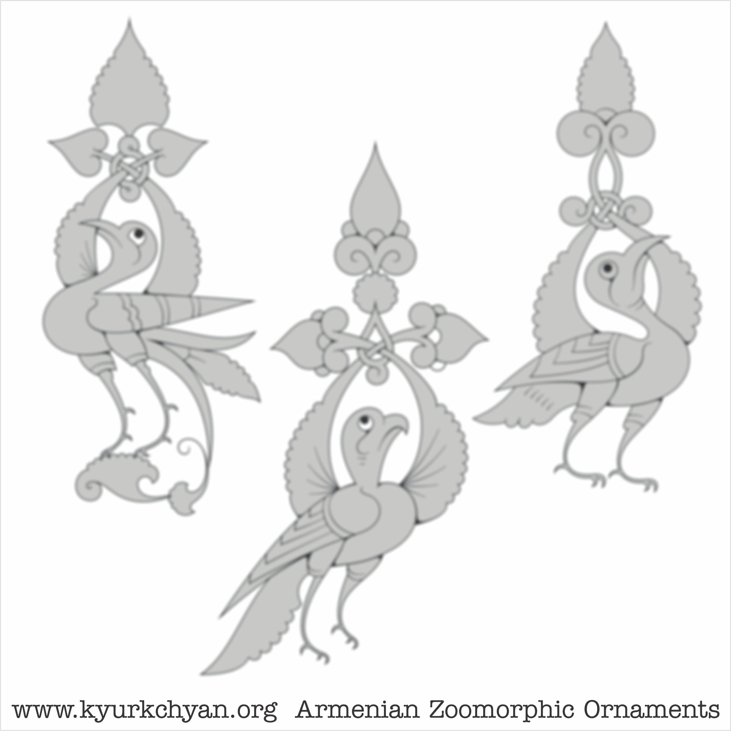Birds #36