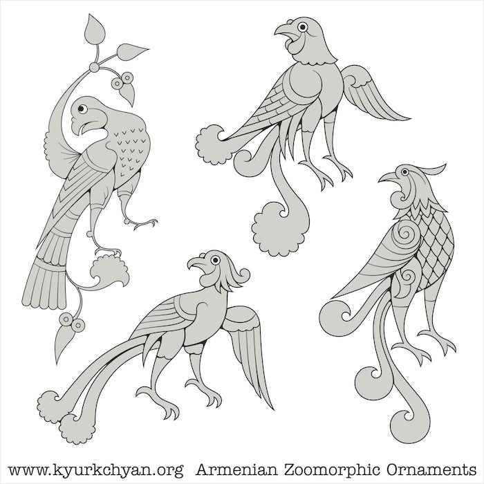 Birds #38
