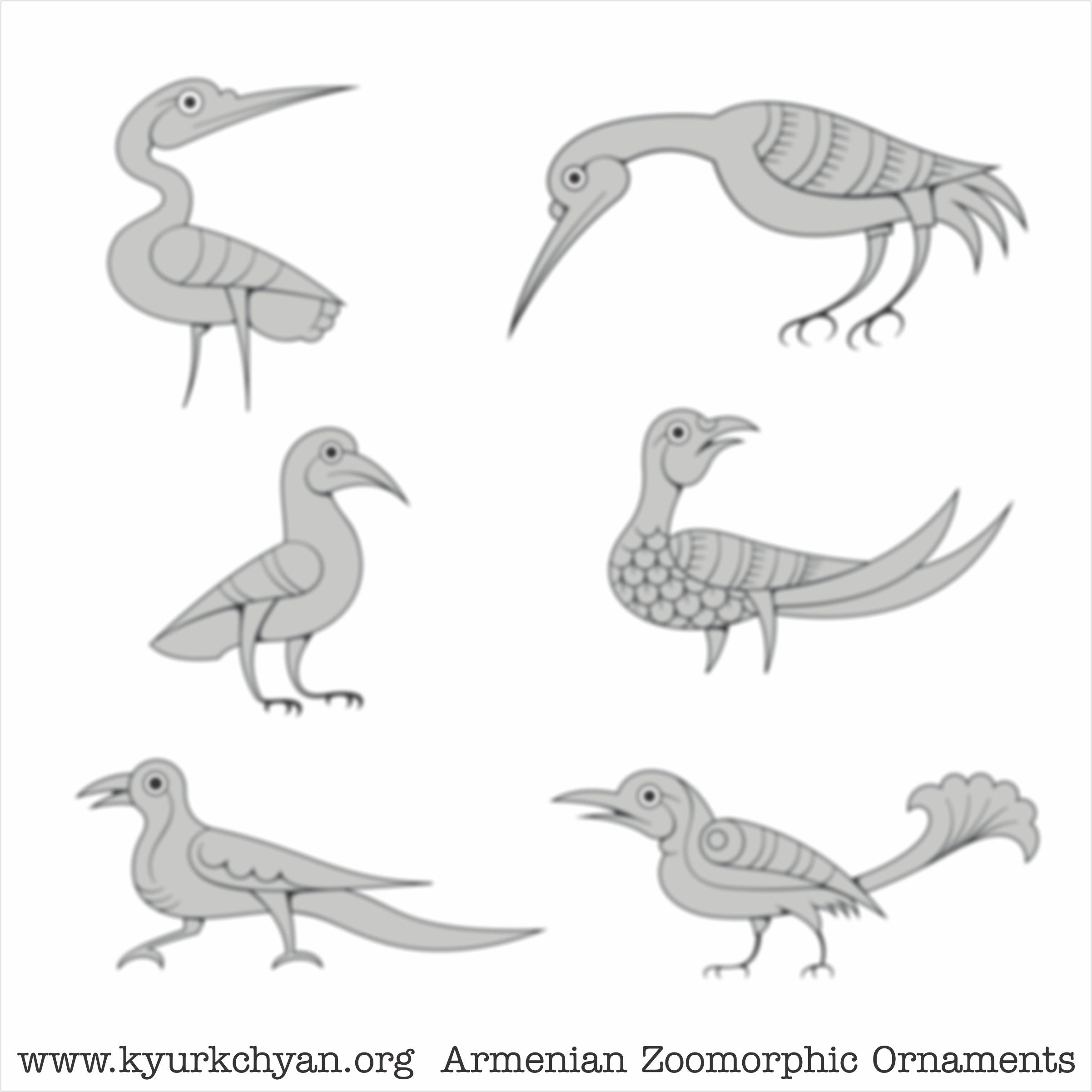 Birds #3
