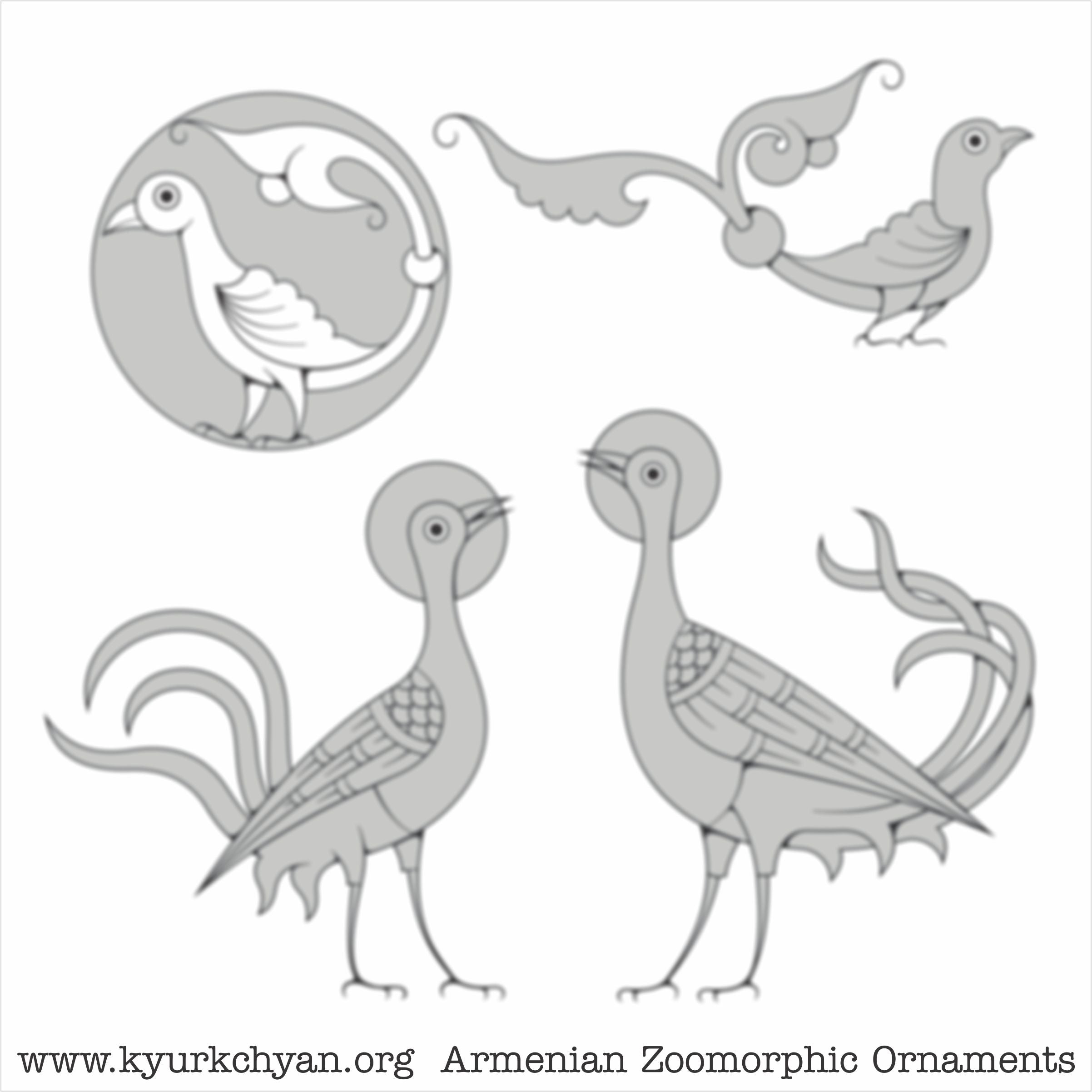 Birds #41