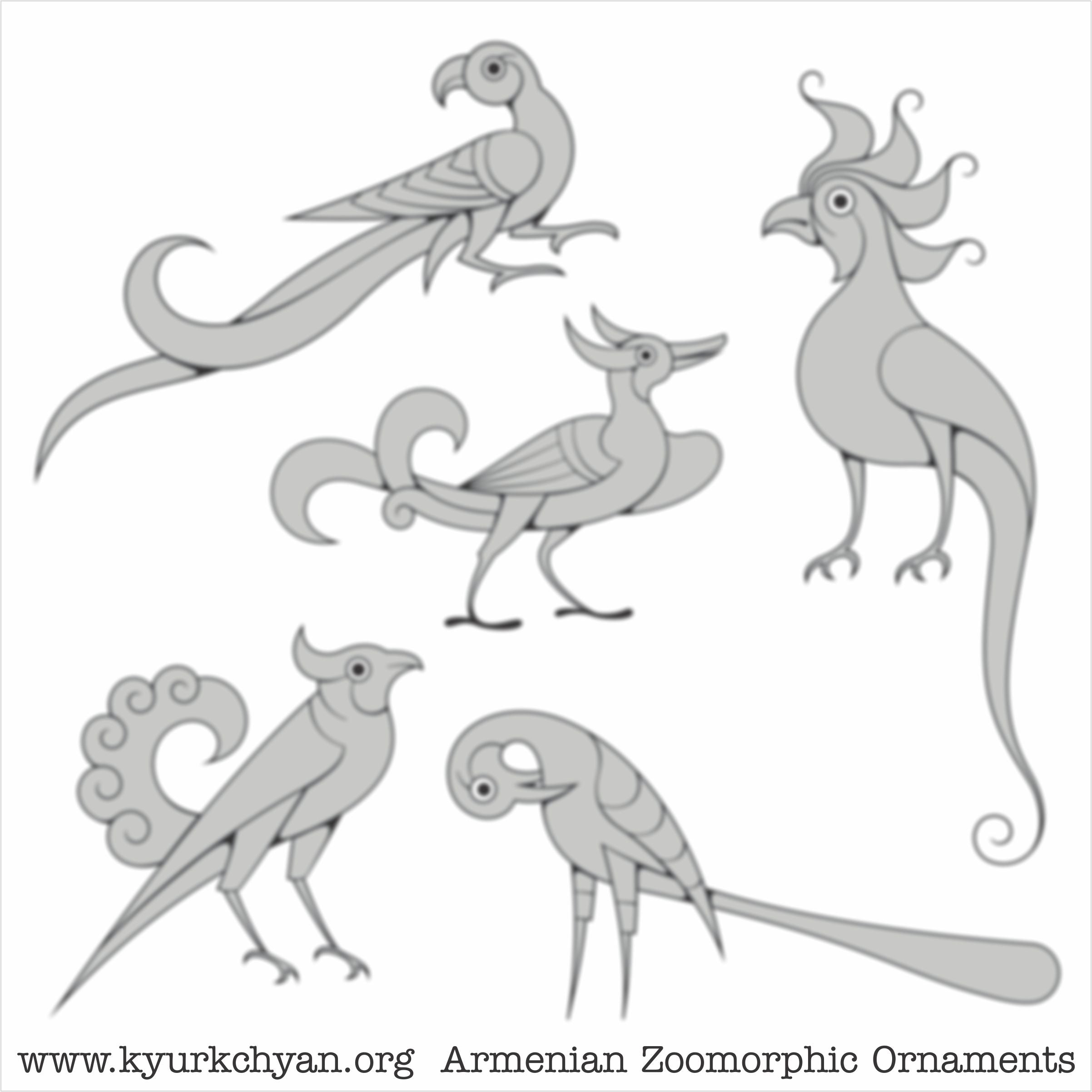Birds #42
