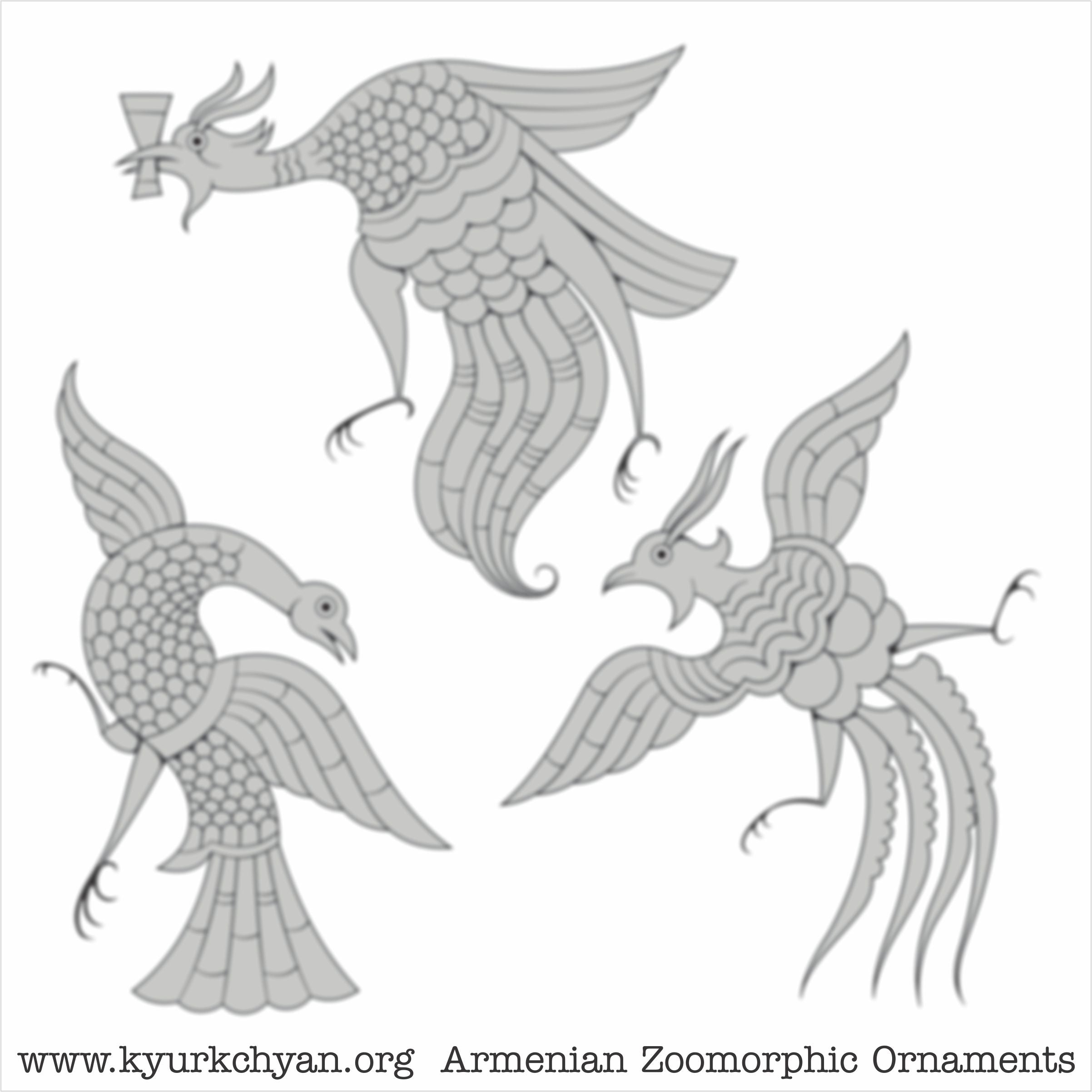Birds #43