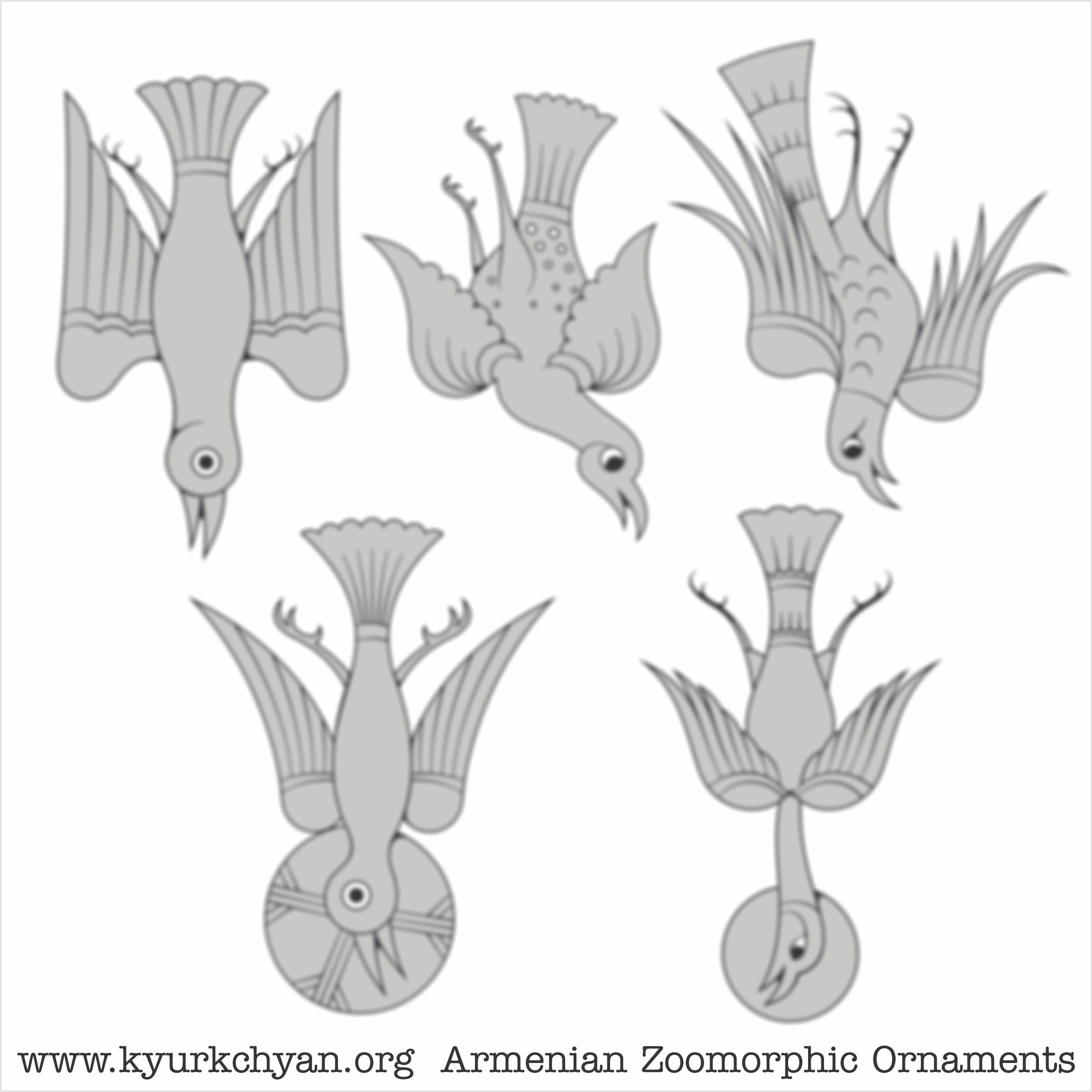 Birds #46