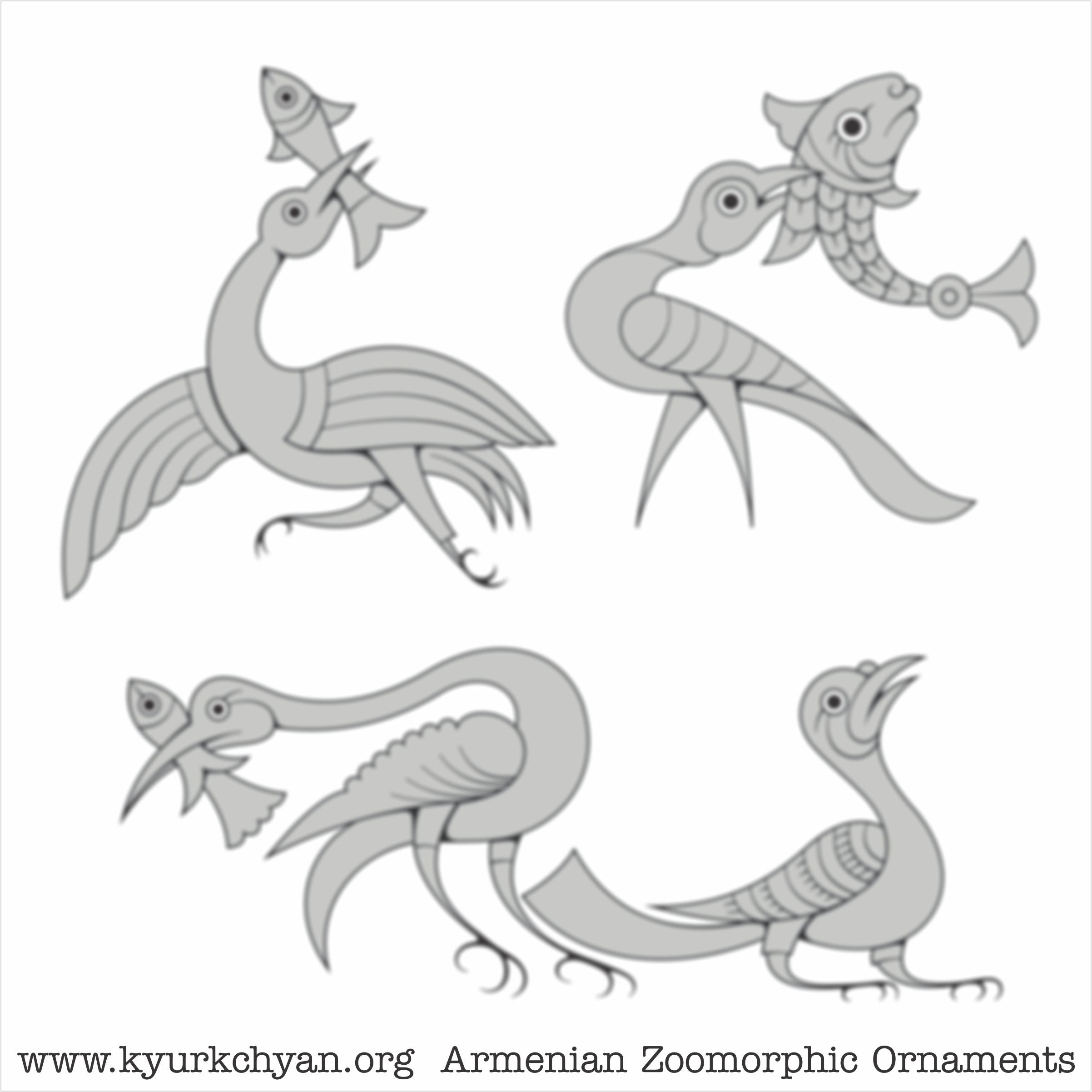 Birds #48