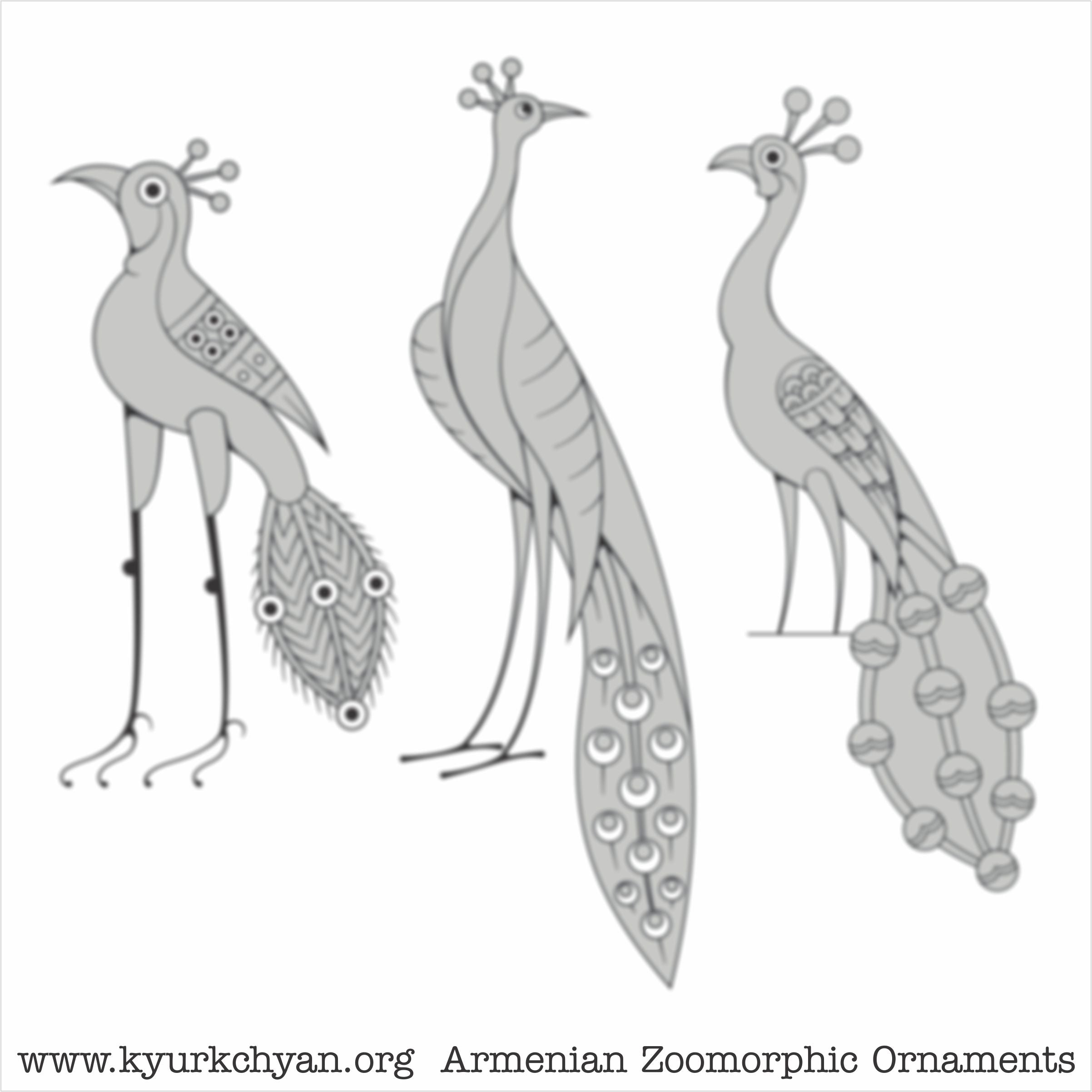 Birds #52