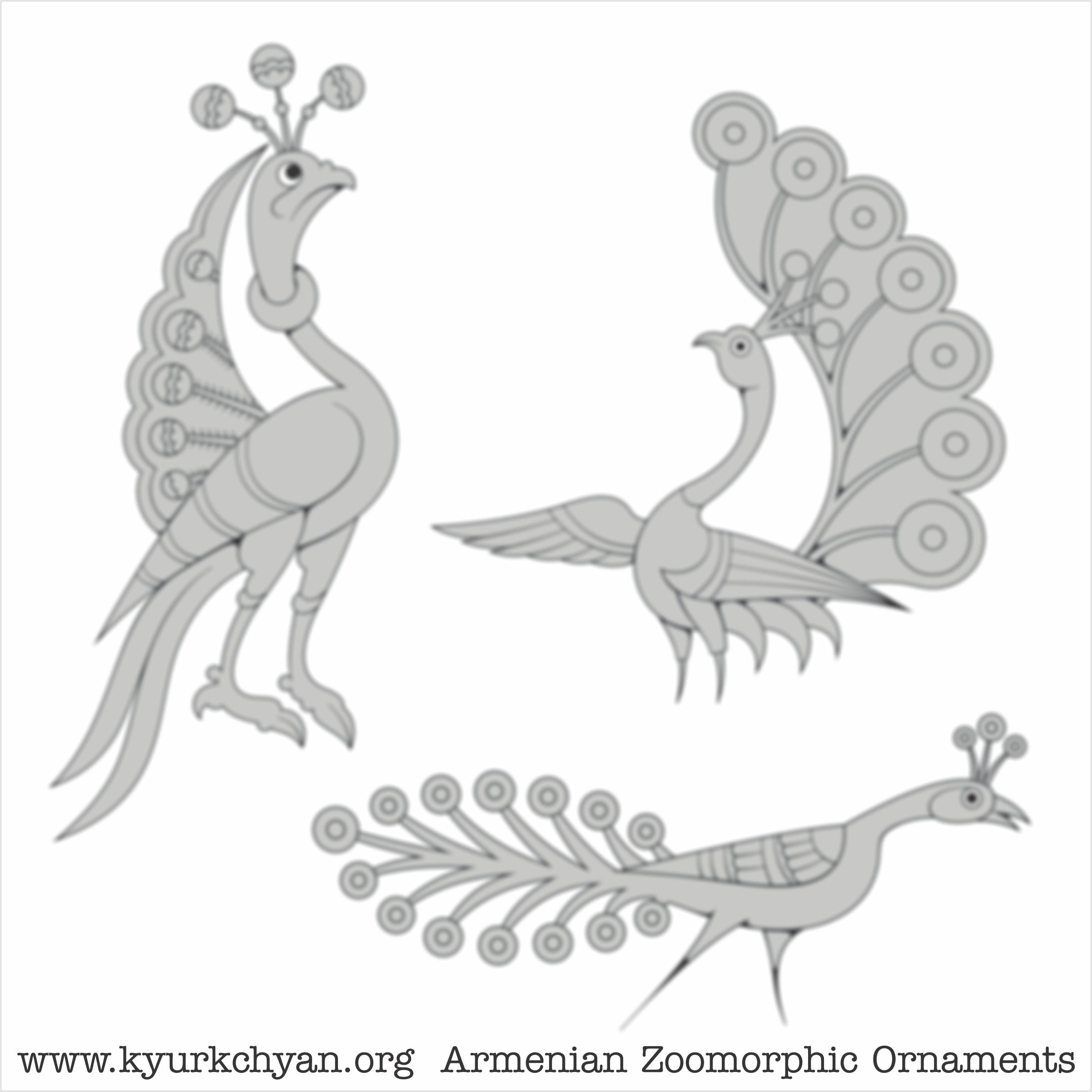 Birds #56