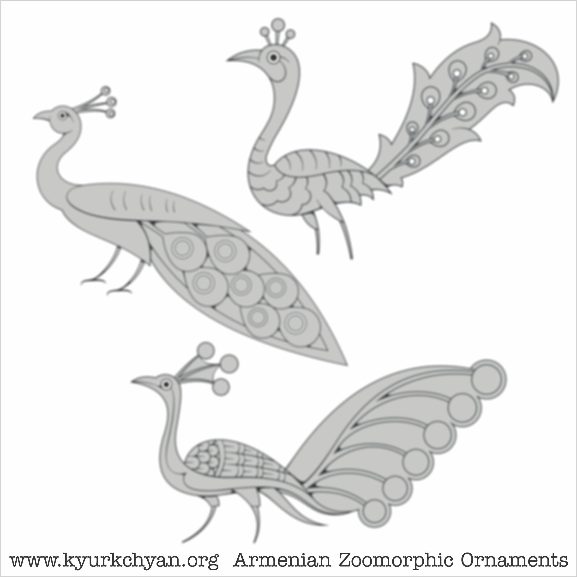 Birds #58