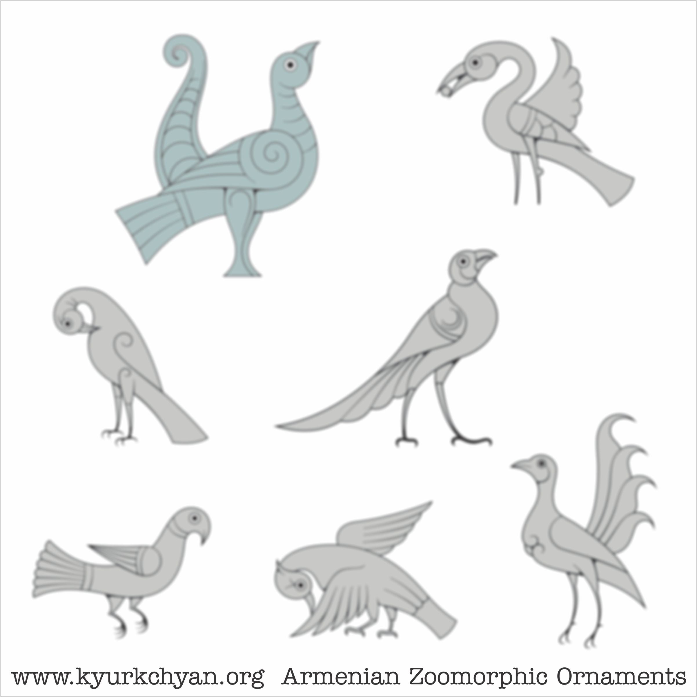 Birds #5