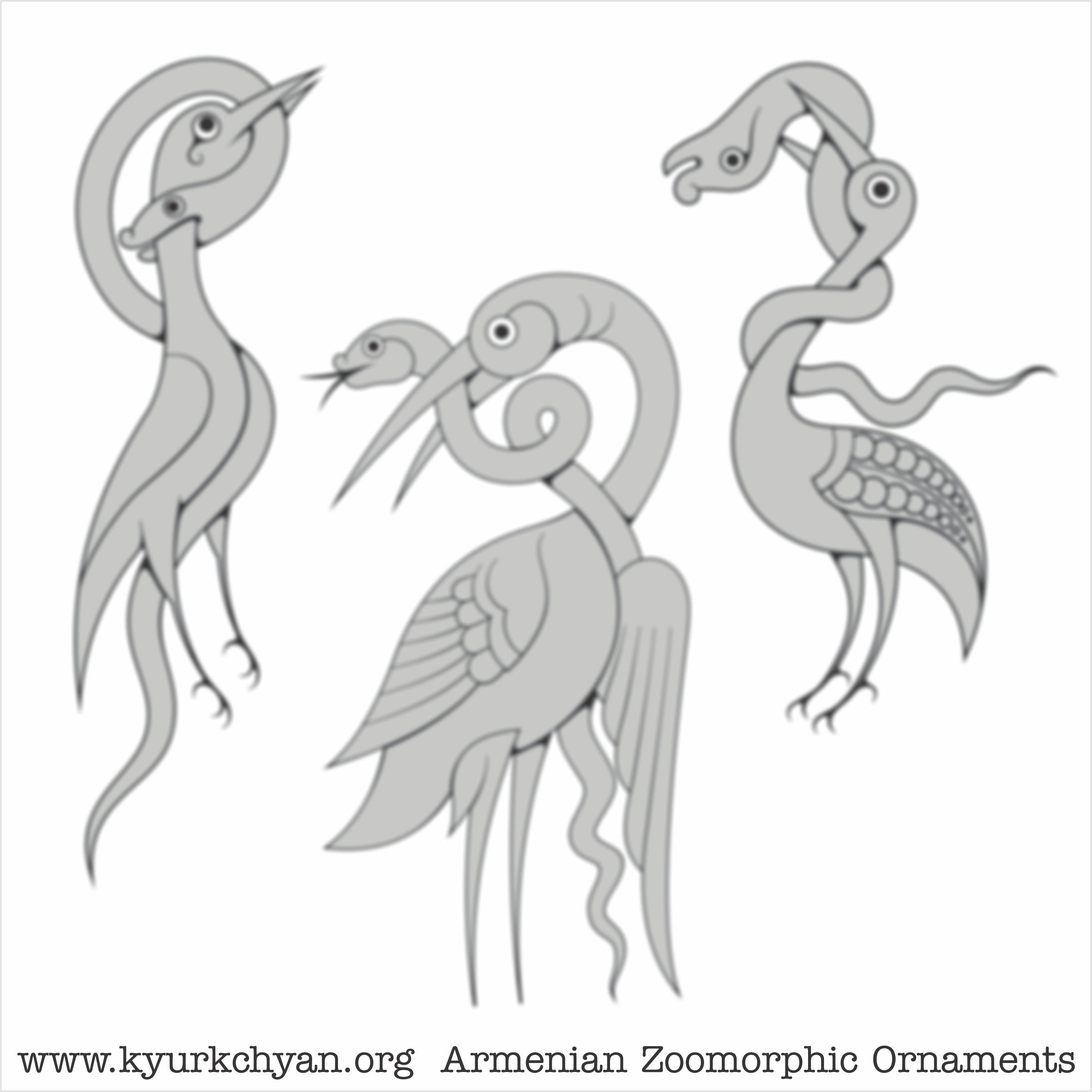 Birds #60