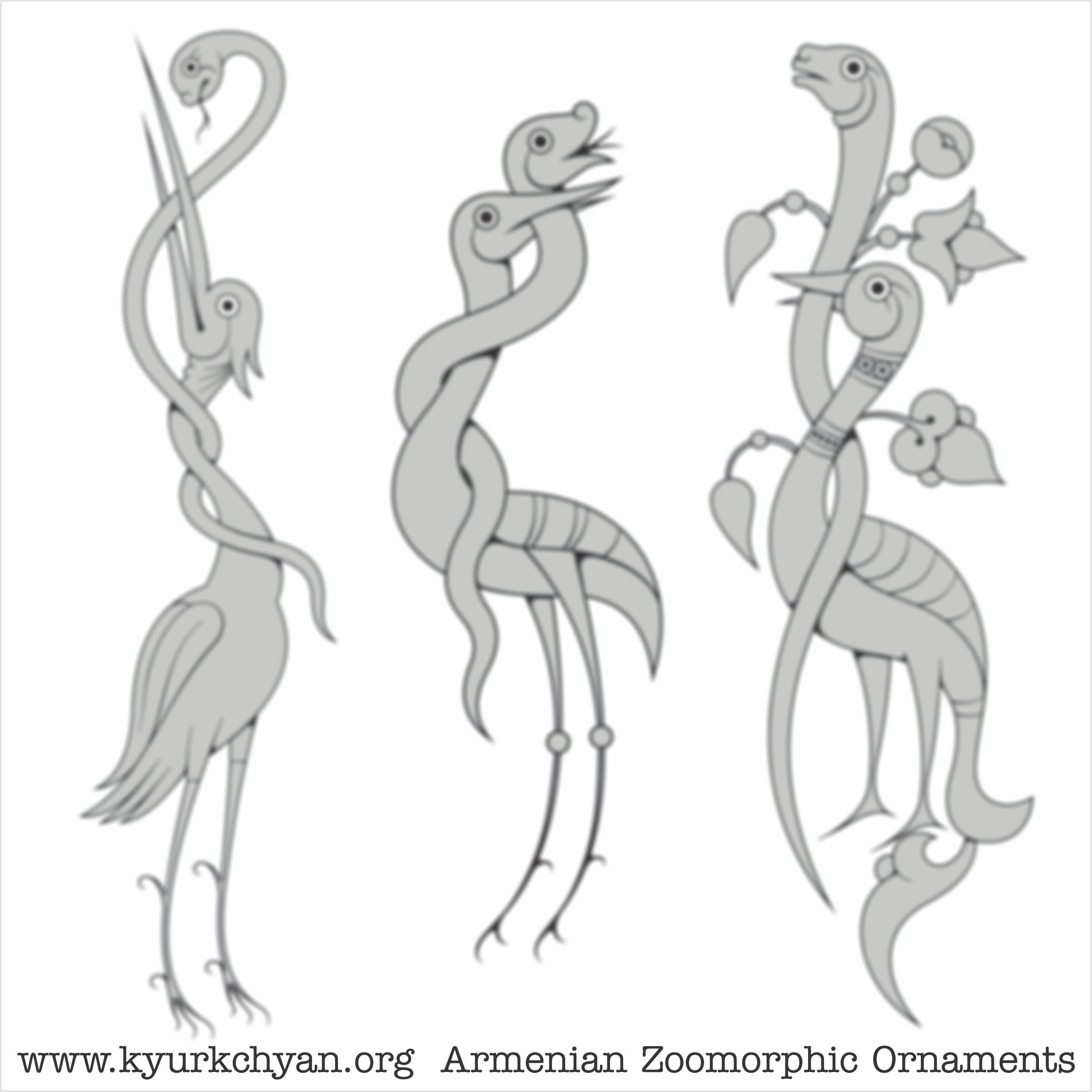 Birds #62