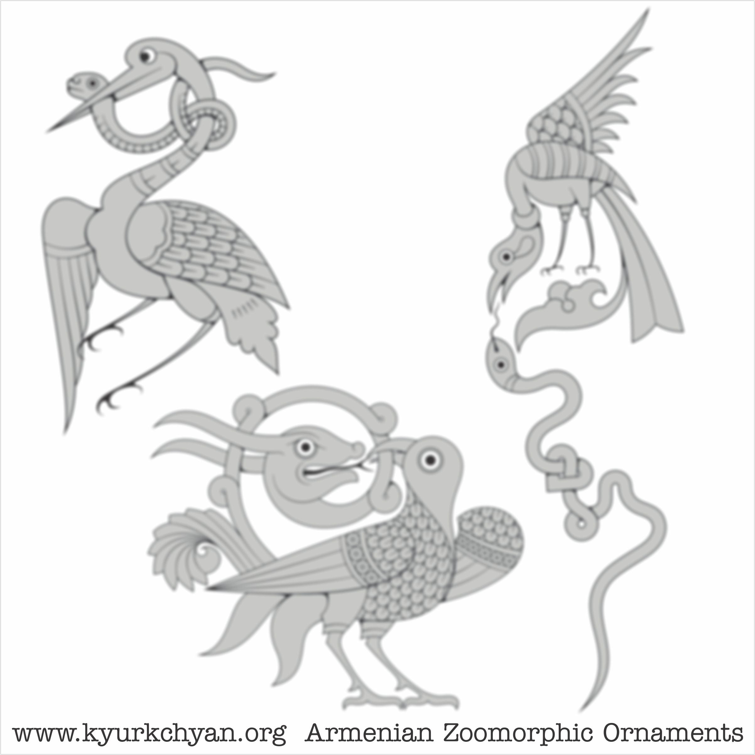 Birds #63