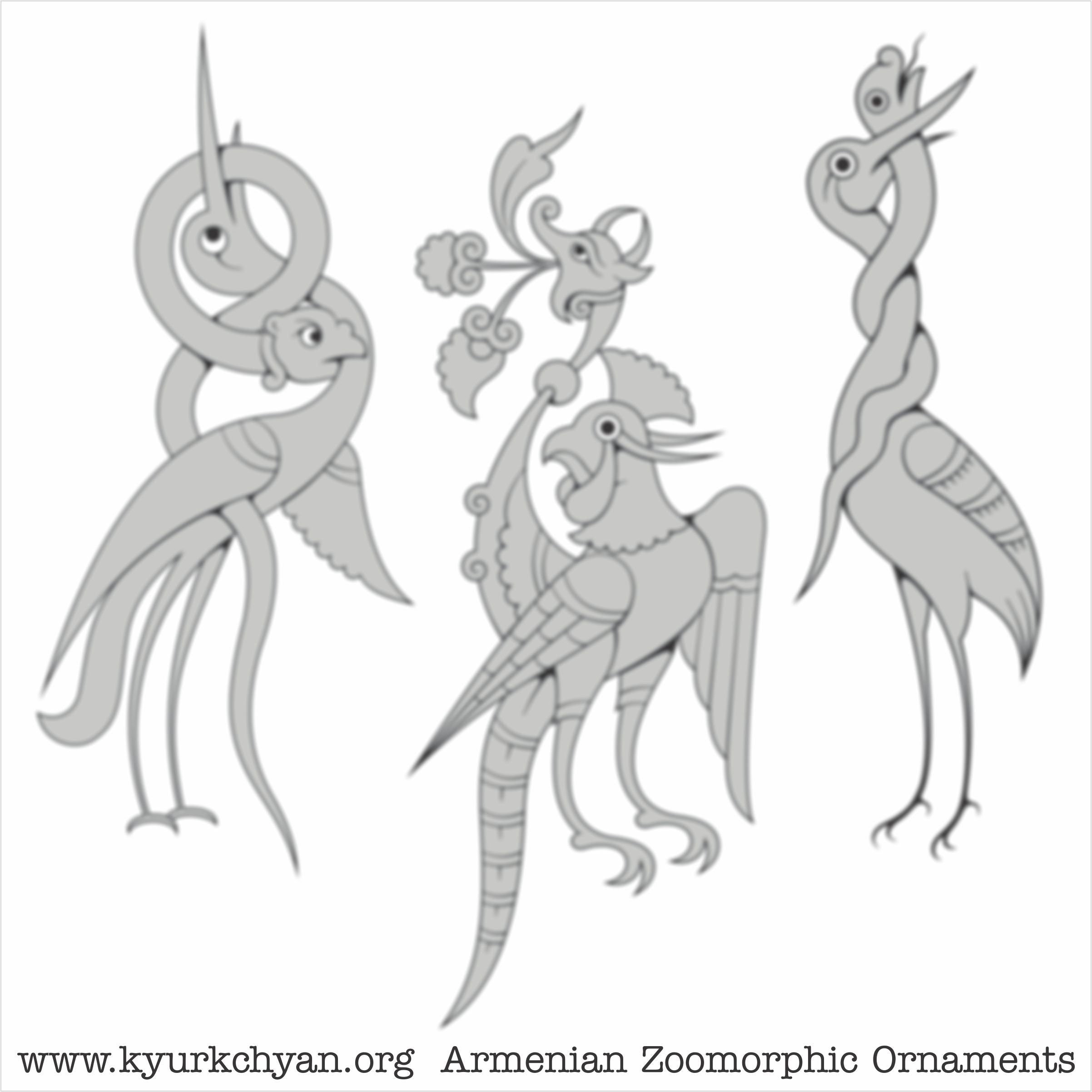 Birds #64