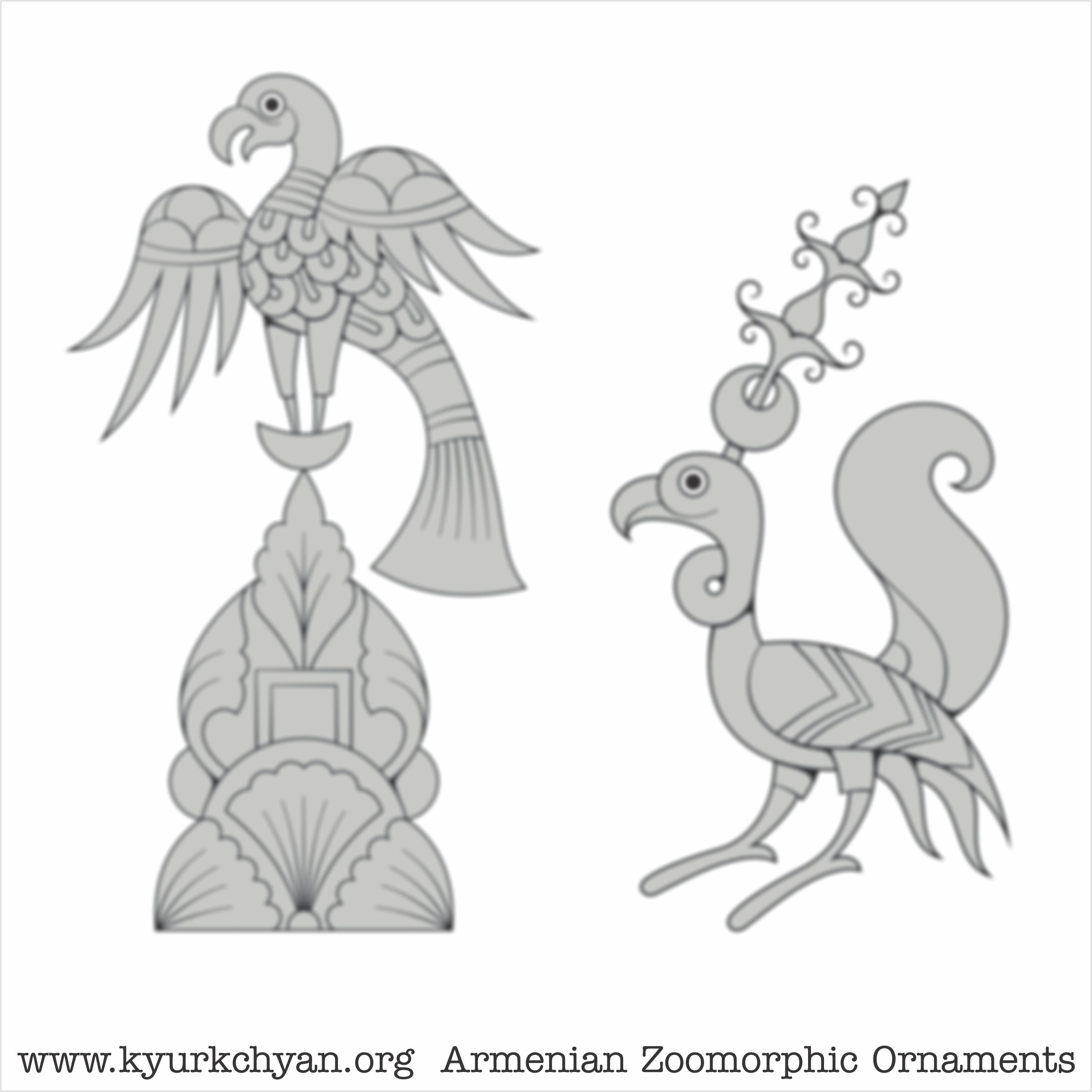 Birds #65