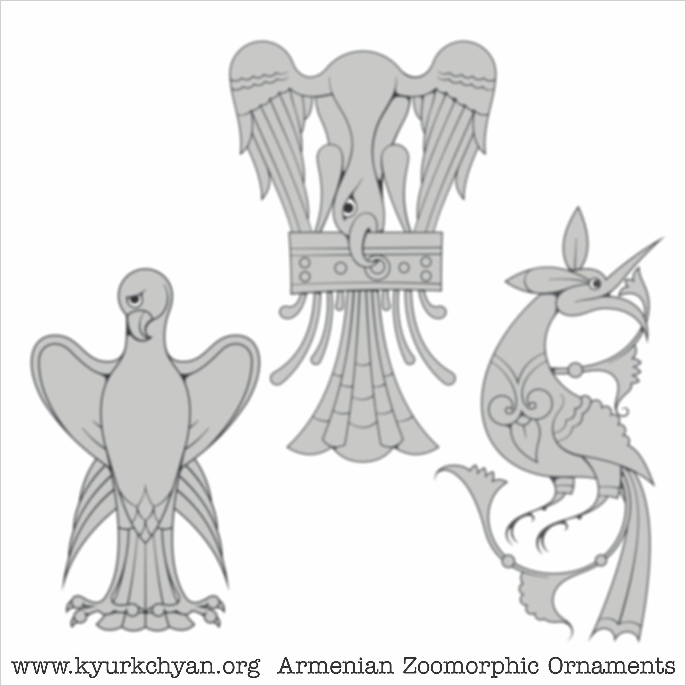 Birds #66