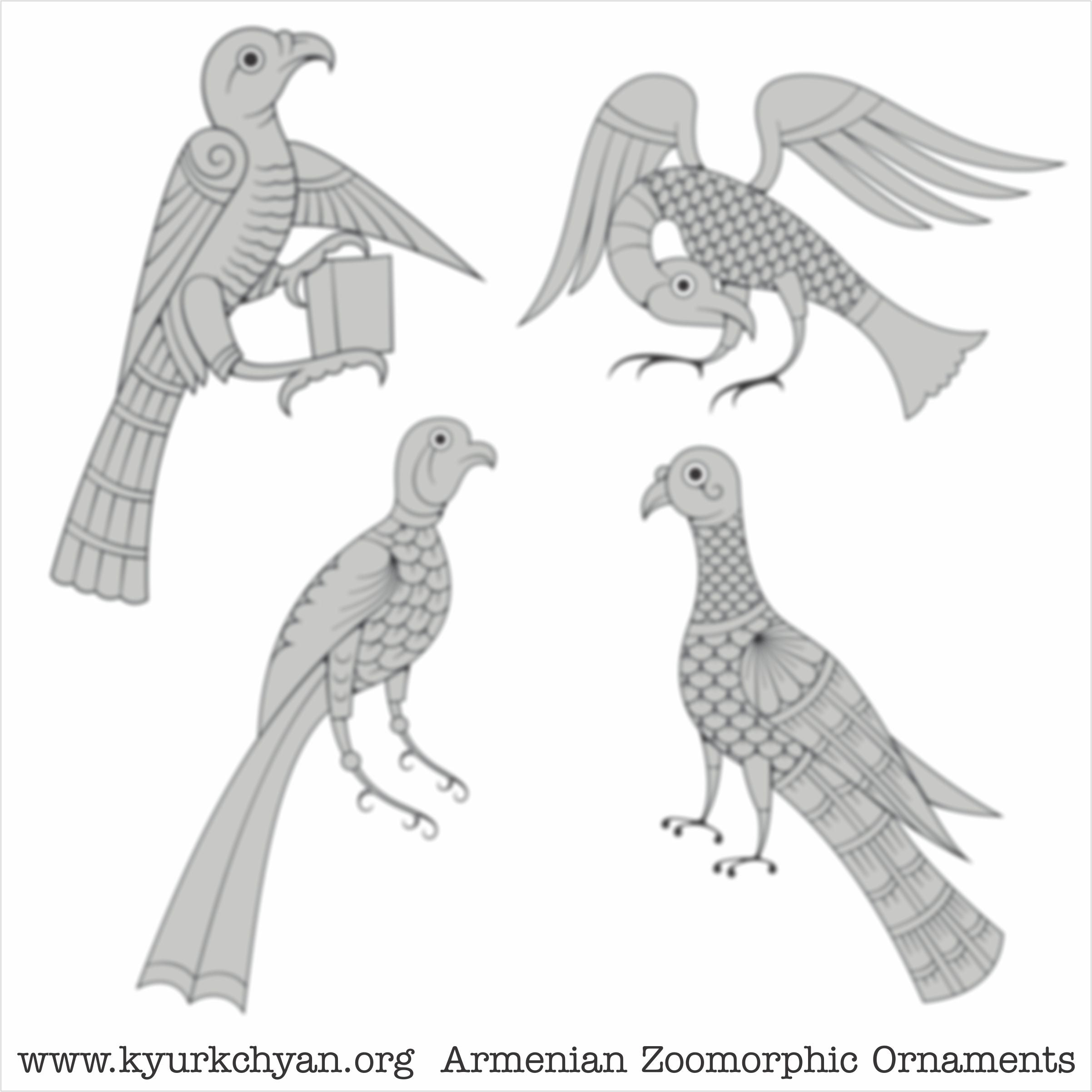 Birds #67