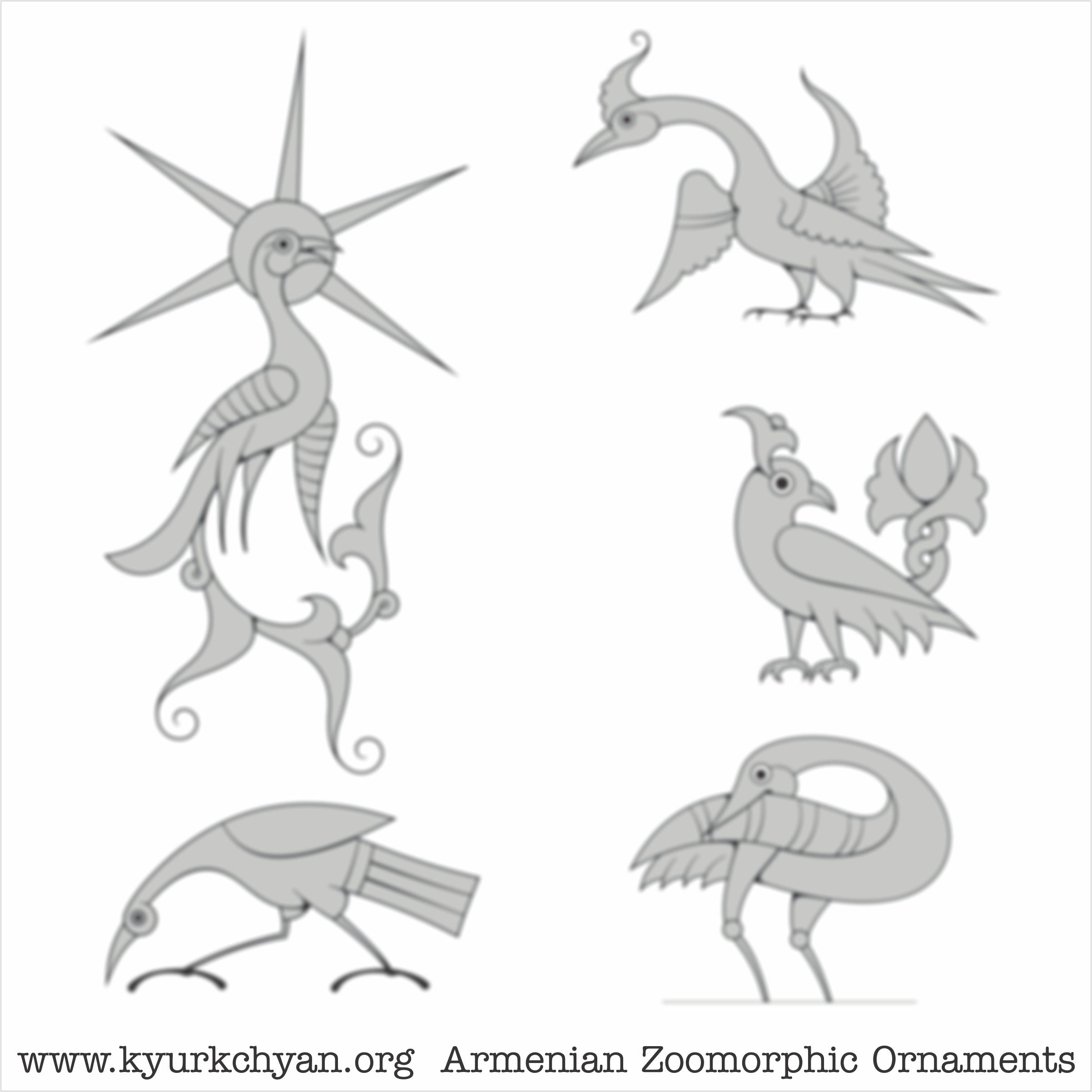 Birds #6