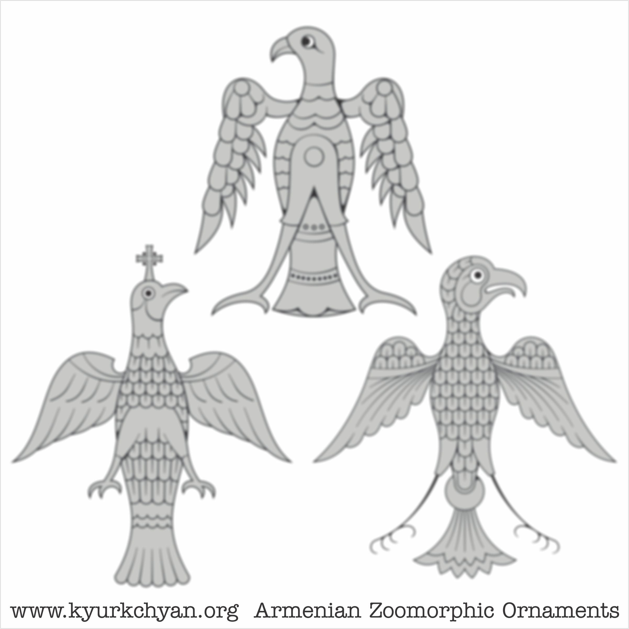 Birds #70