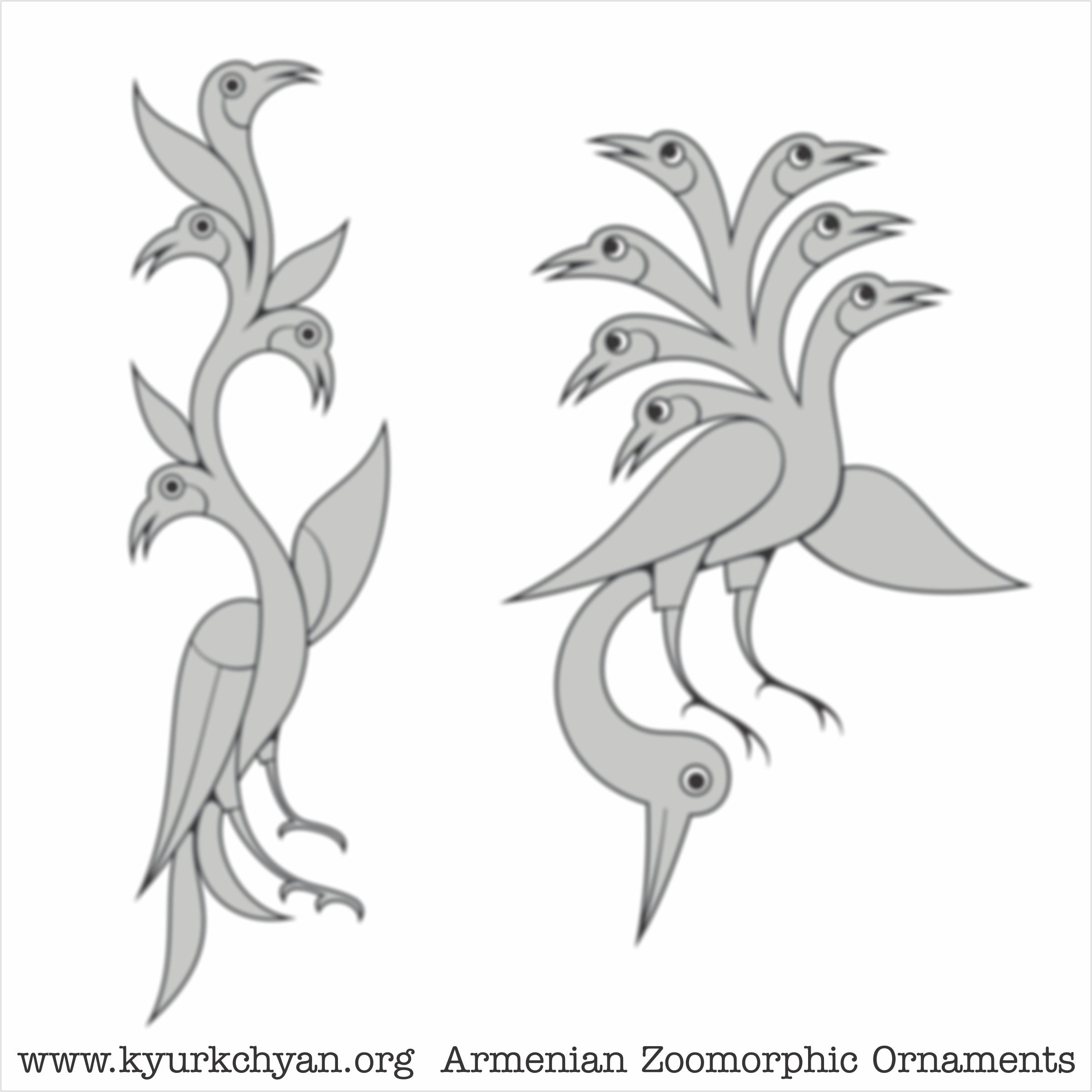 Birds #74