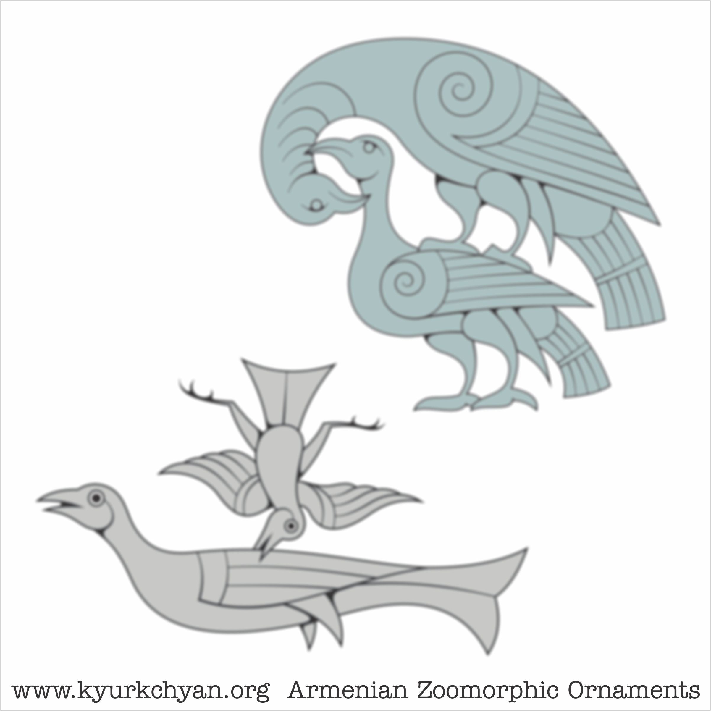 Birds #77