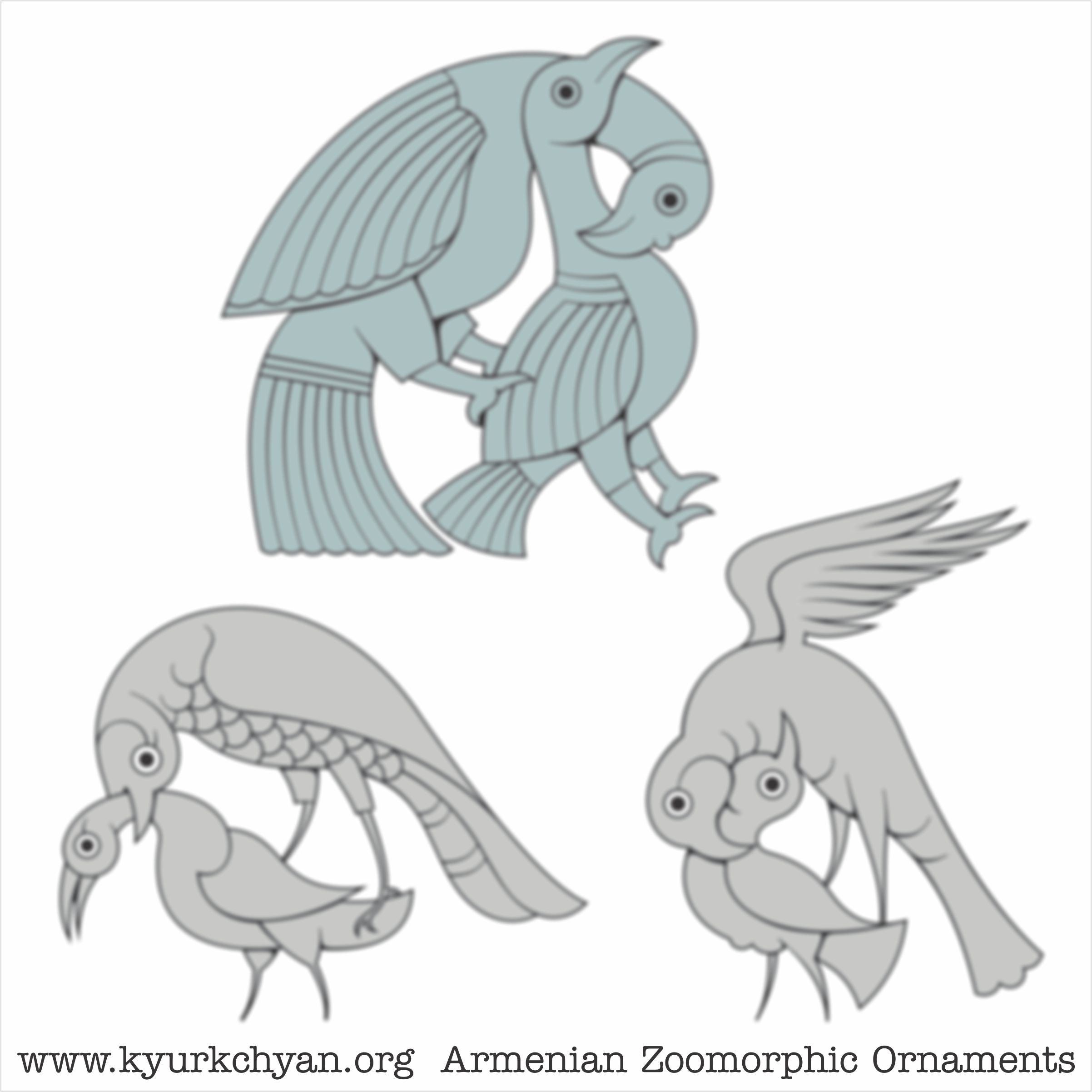 Birds #78