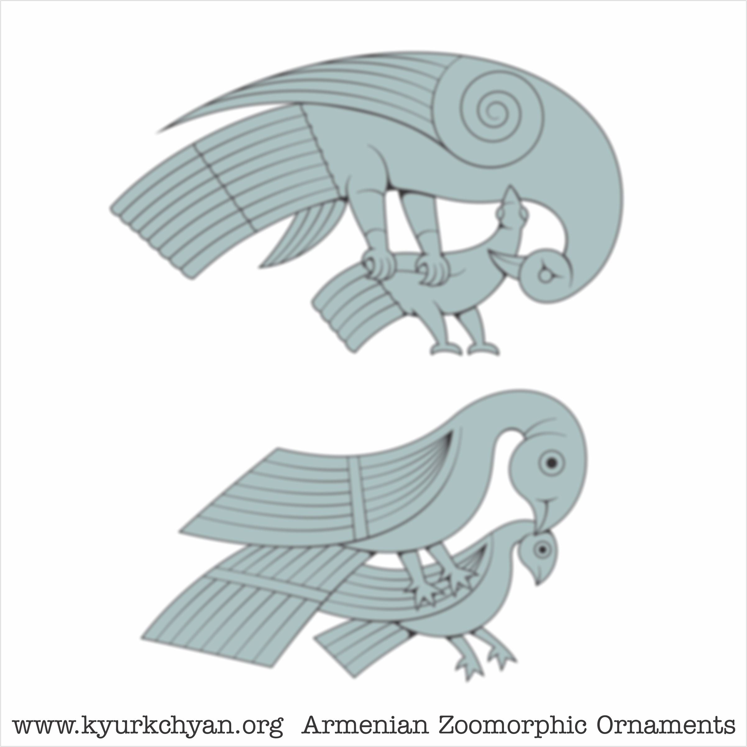Birds #79
