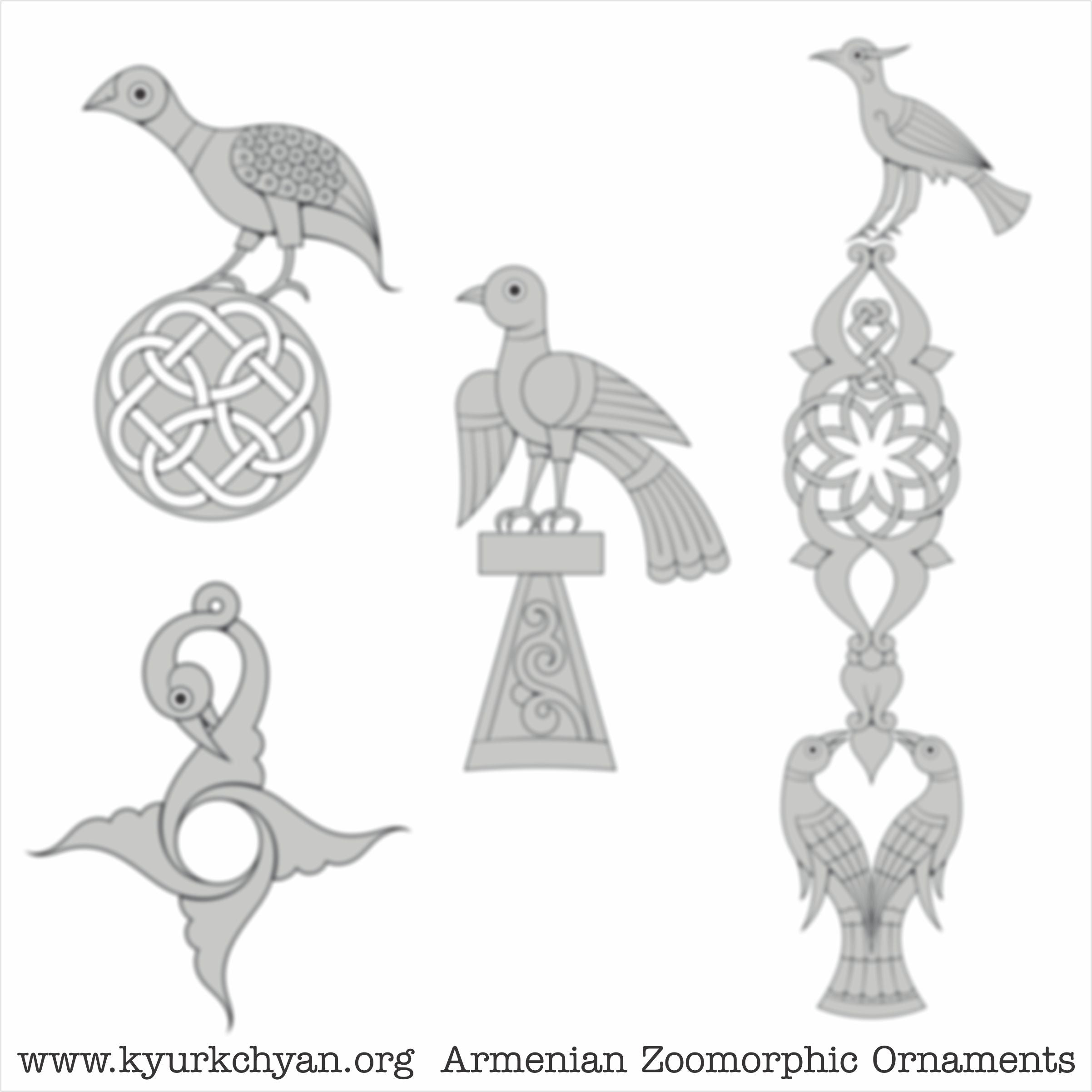 Birds #7