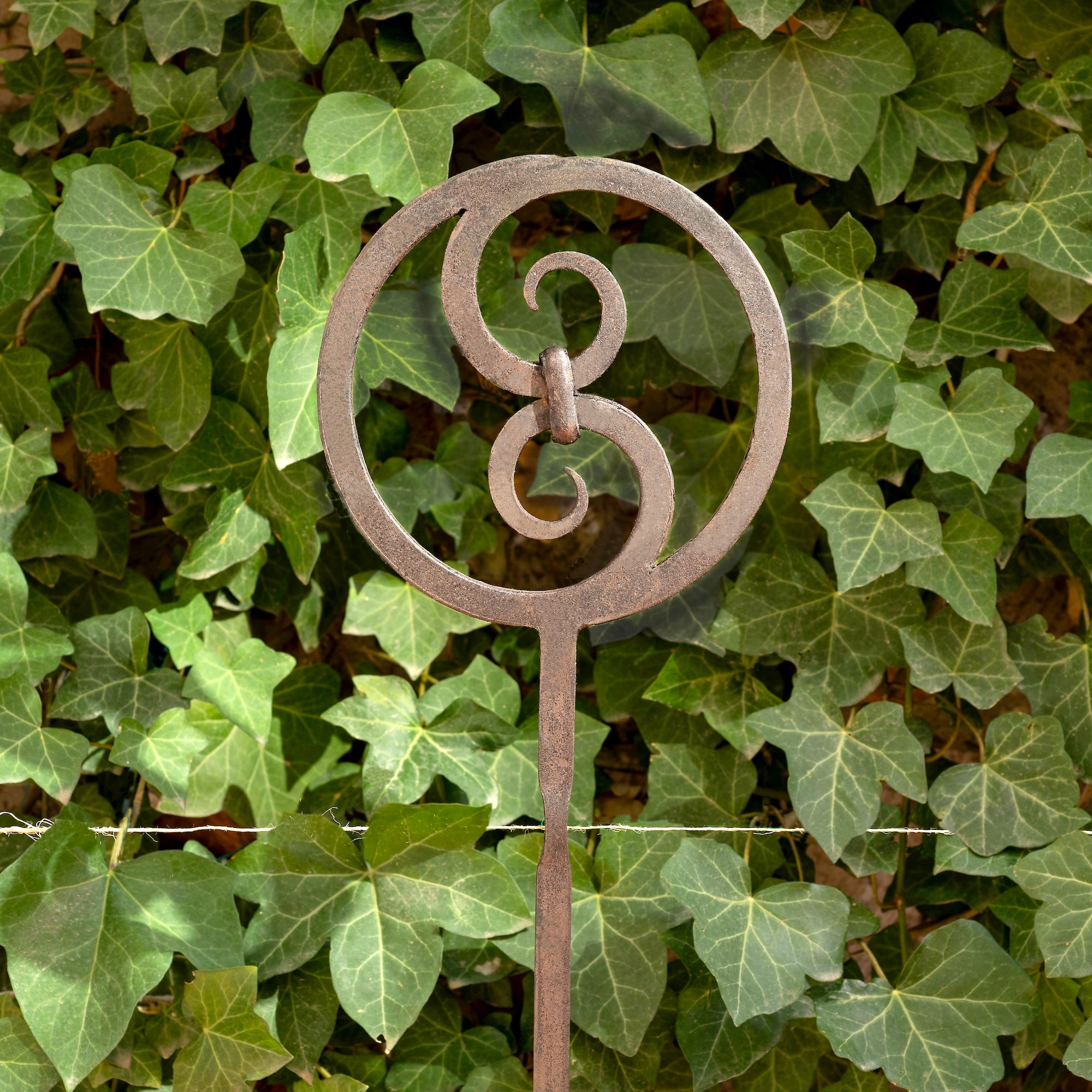 Pahook #1