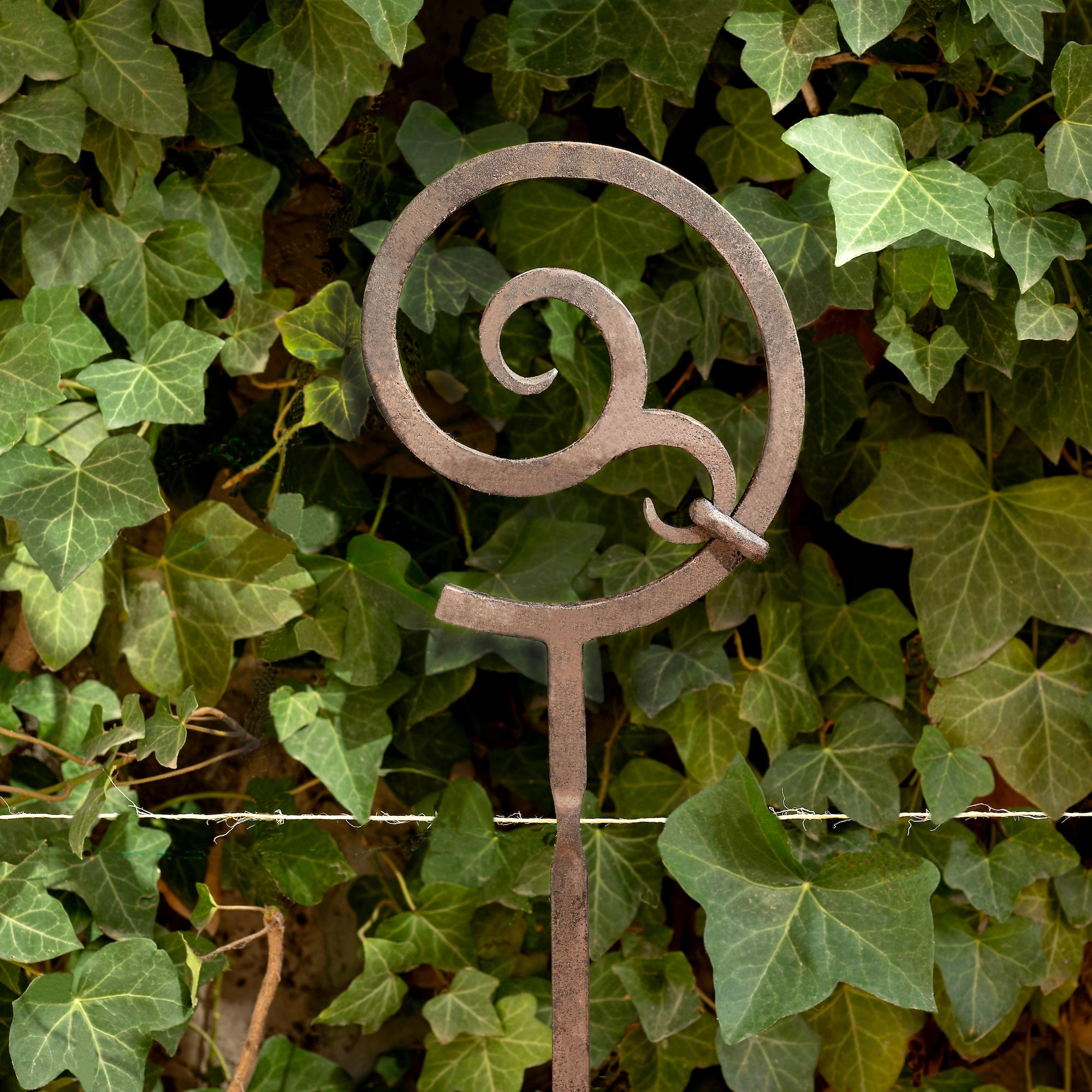 Pahook #2